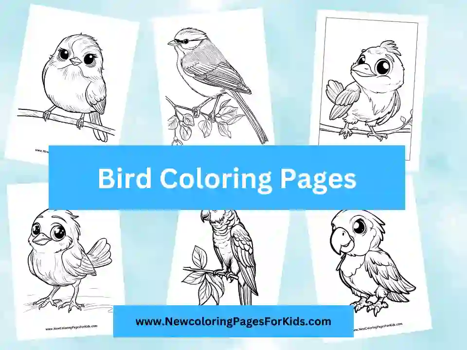 Bird coloring pages